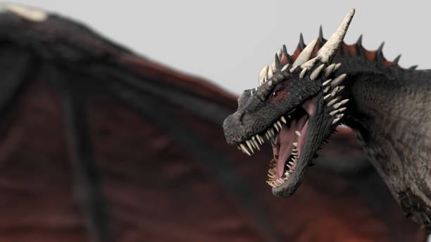 istock Dragon close up hed wiev gray background isolated 3d illustration 1156067579