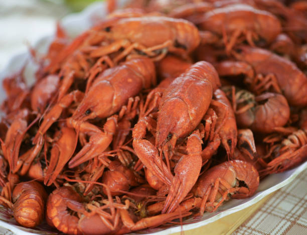 istock Lots of fresh hot crawfish, appetizer attache. 1156068733