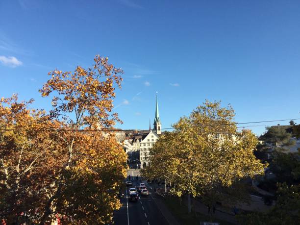 istock Zurich Old Town 4 1156073850