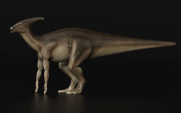 istock Parasaurolophus Dinosaur standing black background side view 3d render 1156077702