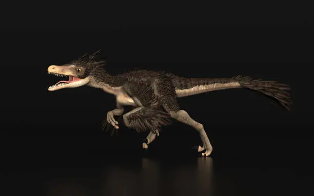 Photo of Dinosaur  Velociraptor  standing black background side view 3d render
