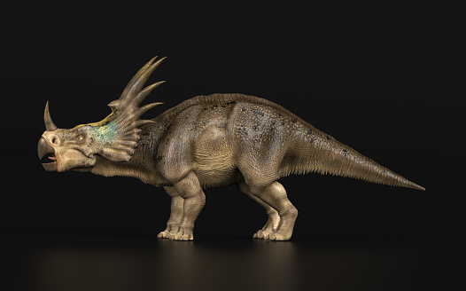 Styracosaurus Dinosaur standing black background side view 3d render