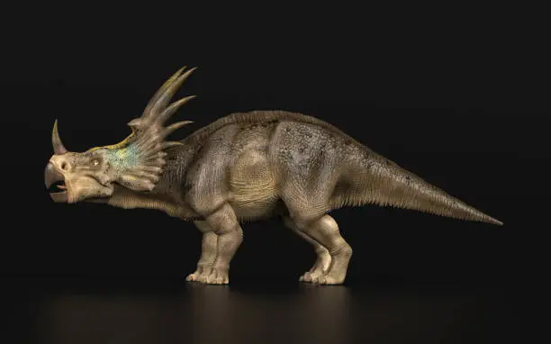 Photo of Styracosaurus Dinosaur standing black background side view 3d render