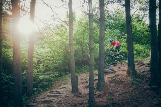 istock Mountain biker riding on bike on forest dirt trail 1156082412