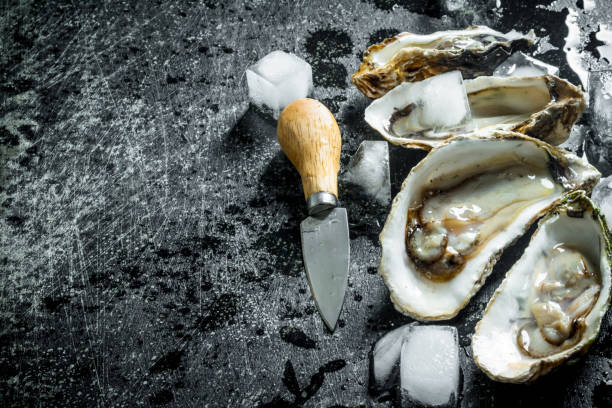 istock Opened raw oysters with ice cubes and knife. 1156083719