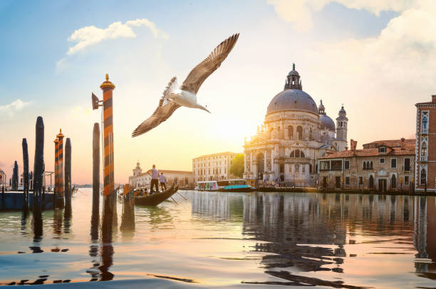 istock Gand Canal in Venice 1156084491