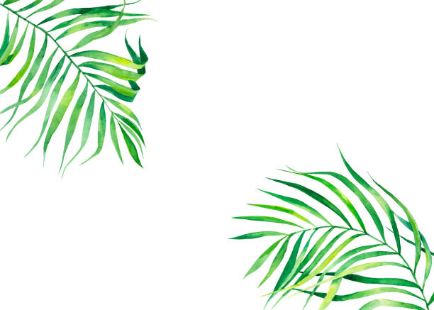 istock Background frame in watercolor style. Exotic coconut leaves. Natural print. Bright green tropical frame for greeting cards, web design. 1156084549