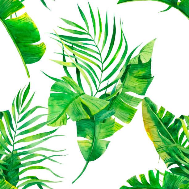 istock Tropical seamless pattern with exotic palm leaves. Tropical jungle foliage illustration. Exotic plants. Summer beach design. Paradise nature. 1156084566