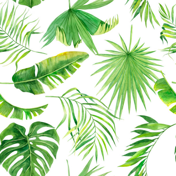 istock Tropical seamless pattern with exotic palm leaves. Tropical jungle foliage illustration. Exotic plants. Summer beach design. Paradise nature. 1156084567