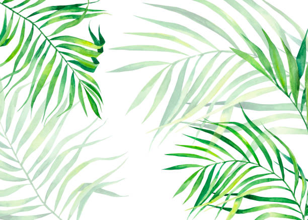 istock Background frame in watercolor style. Exotic coconut leaves. Natural print. Bright green tropical frame for greeting cards, web design. 1156084583