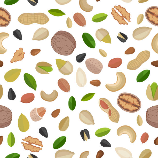 wektor bezszwowy wzór z orzechami i nasionami. - cereal plant processed grains variation backgrounds stock illustrations