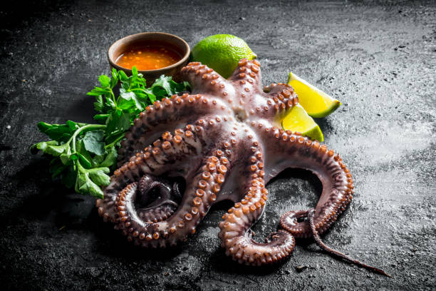 istock Octopus with sauce, herbs and lime slices. 1156086088