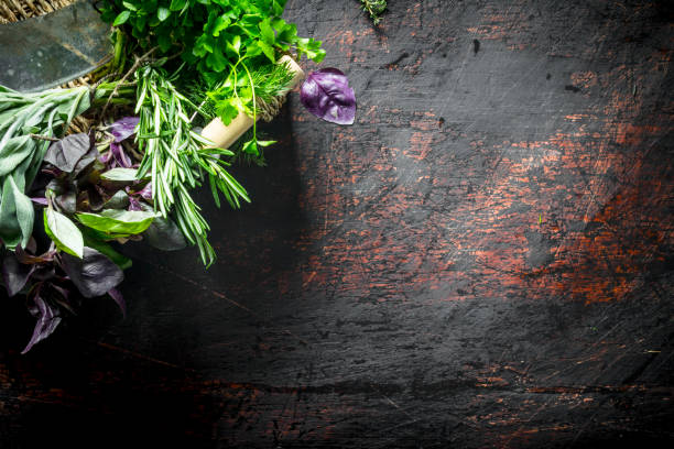 istock Various herbs grown in the home garden. 1156086614