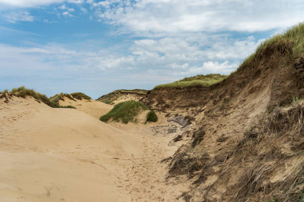 istock Sylt - View to Grass- and Sand-Dunes at Kampen Cliff / Germany 1156086779