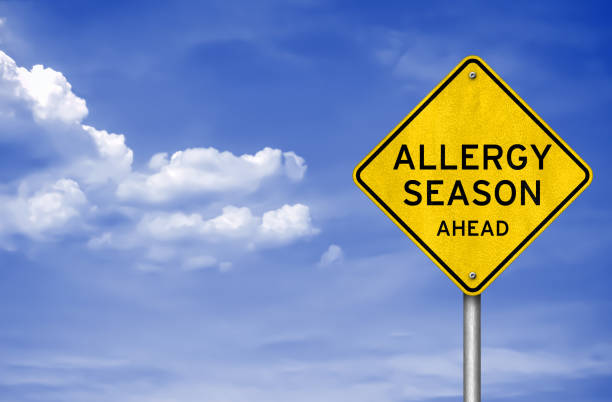 istock Allergy Season ahead - road sign warning 1156087584