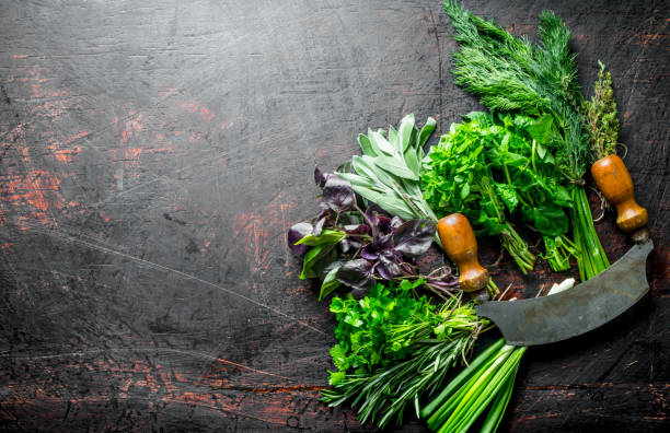 istock Healthy food. A variety of fresh herbs. 1156089708