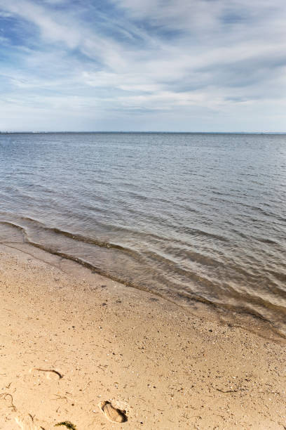 istock Close up of beach and sea 1156093249