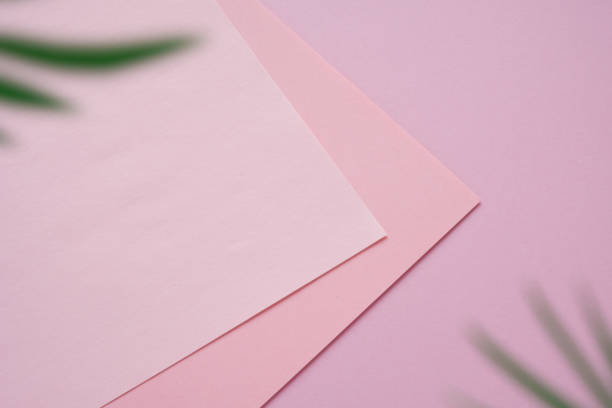 istock Tropical leaves on pastel pink background. minimal concept. 1156094614