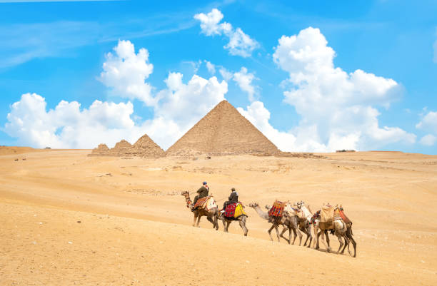 istock Caravan of camels 1156094630
