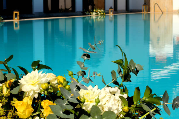istock flowers in the pool 1156096055