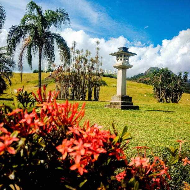 istock View of Buddha statues 1156096171