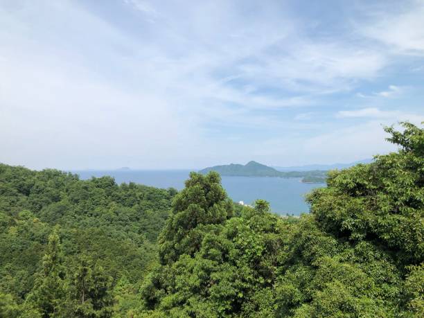 istock Japan Hyougo kyotango Amanohasidate seasaide Flower 1156101334