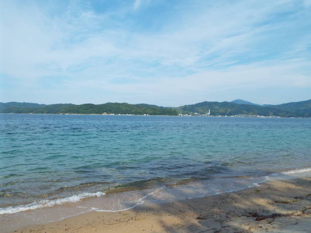 istock Japan Hyougo kyotango Amanohasidate seasaide Flower 1156101441