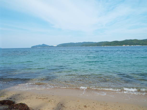 istock Japan Hyougo kyotango Amanohasidate seasaide Flower 1156101471