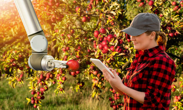 istock Woman farmer controls robotic arm with a tablet 1156101895