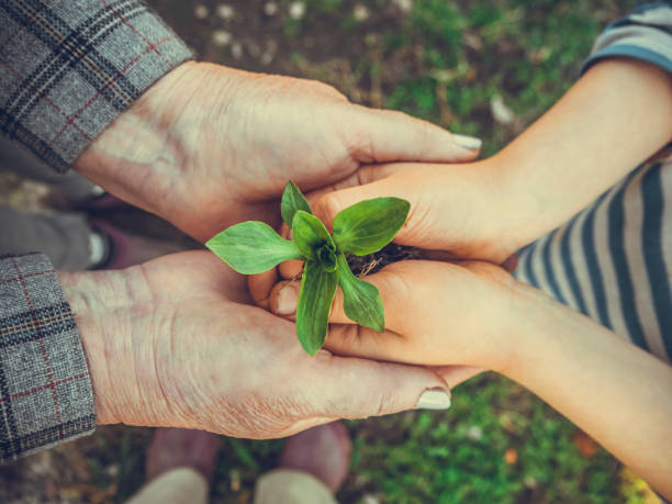 planter l'arbre ensemble le jour d'arbor - tree grass family human relationship family photos et images de collection