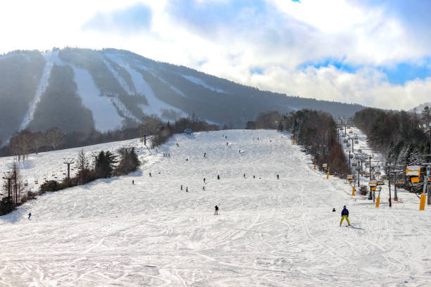 station de ski appi kogen au japon - parc national de towada hachimantai photos et images de collection