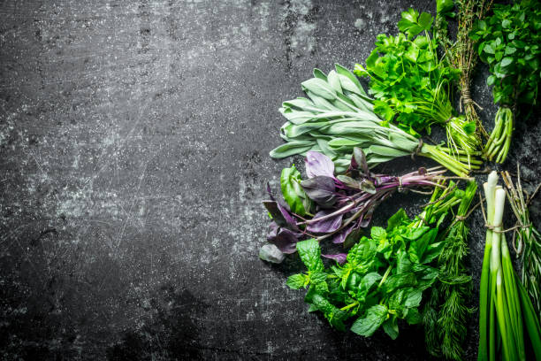 istock Fresh herbs cut in the home garden. 1156105545