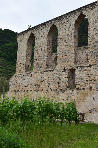2019 Mosel valley, ruin Kloster Stuben