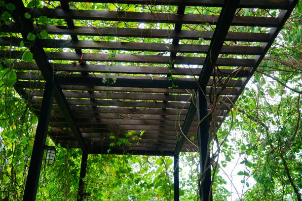 istock Slat roof with ivy leave 1156106395