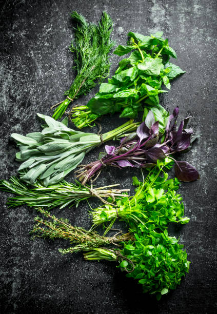 istock Various fresh herbs from the garden. 1156106410
