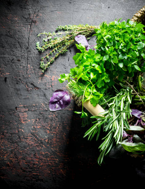 istock Various herbs grown in the home garden. 1156107266