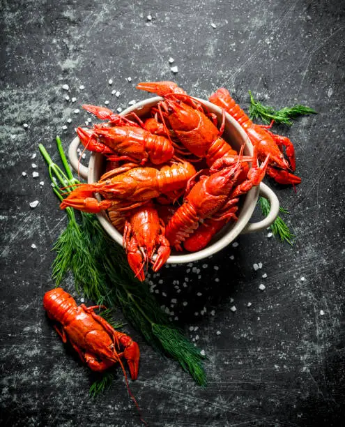 Deliciously cooked red crayfish in a bowl with dill. On dark rustic background