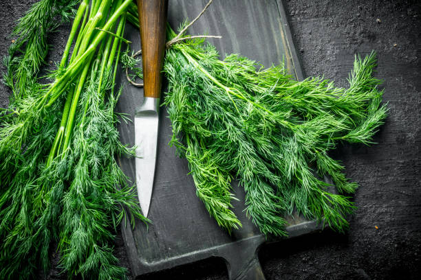 istock Fresh dill on a cutting Board with a knife. 1156111592