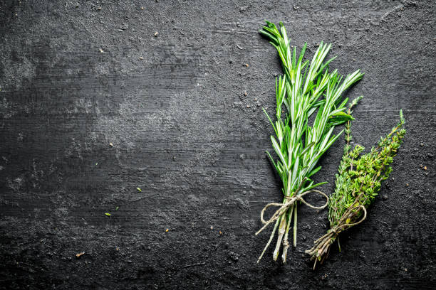 istock Bunch of rosemary and thyme. 1156113030