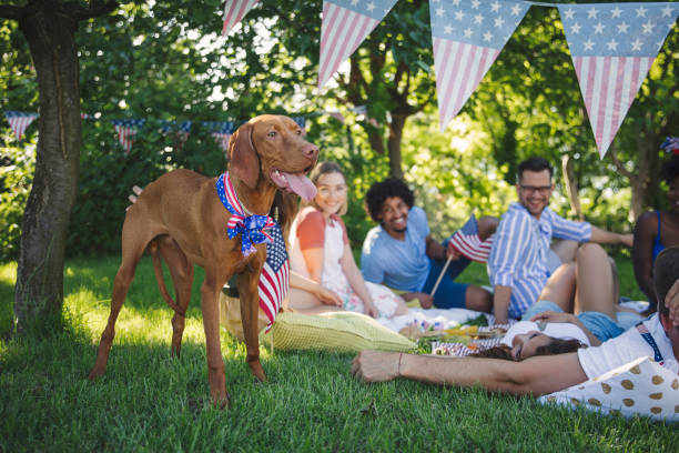 Celebrating fourth July