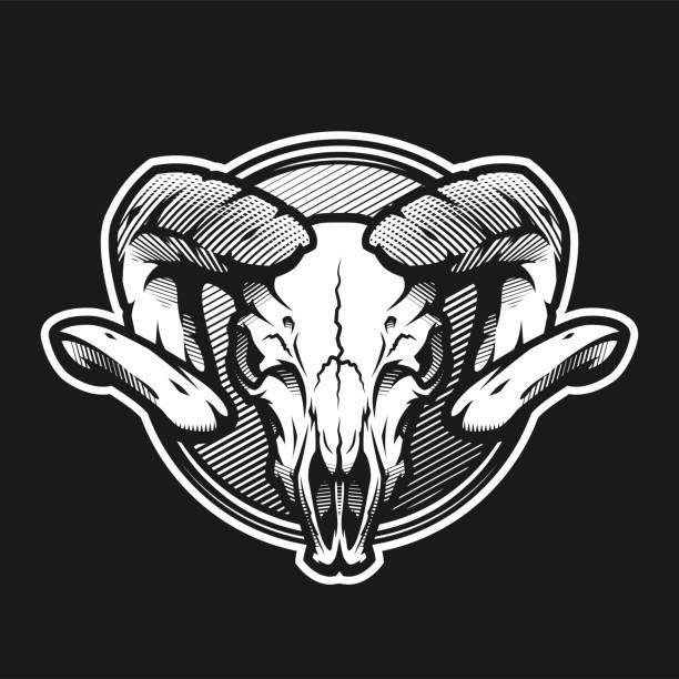 520+ Ram Skull Stock Illustrations, Royalty-Free Vector Graphics
