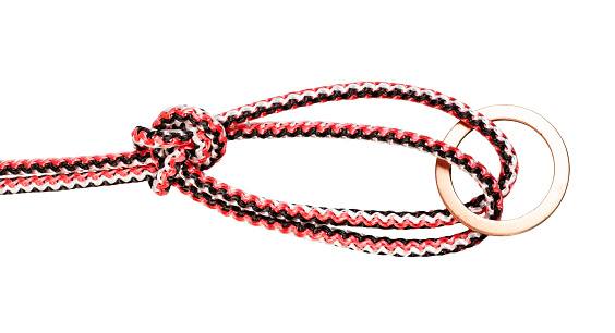 Bowline on a bight knot tied on synthetic rope cut out on white background