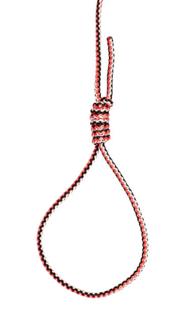 istock Hangman's noose tied on synthetic rope cut out 1156122151