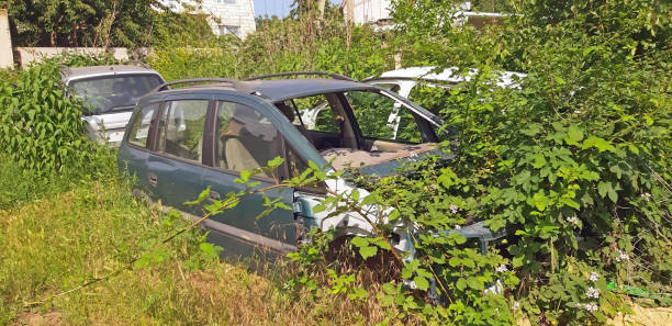 istock Abandoned and broken cars. Grows wild plants in it 1156124619