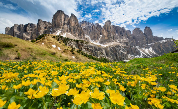 dolomiten - alto adige summer travel destinations vacations stock-fotos und bilder