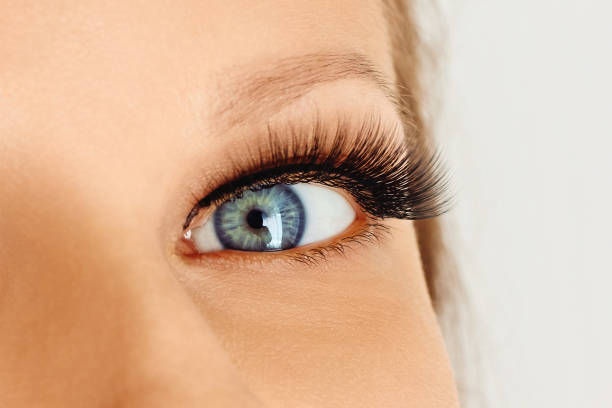 istock Opened female eye with long false eyelashes 1156132254