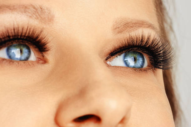 Eyelash extensions, make-up, cosmetics, beauty. Close up