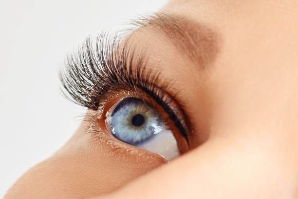 istock Opened female eye with long false eyelashes 1156132488