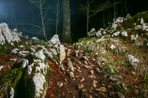 Rocky mountain path in the forest during night.