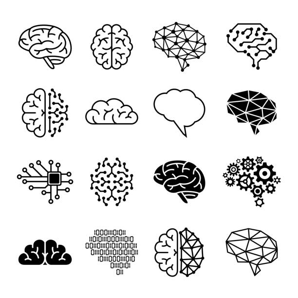 Human brain icons - vector illustration Human brain icons - vector illustration human brain anatomy stock illustrations